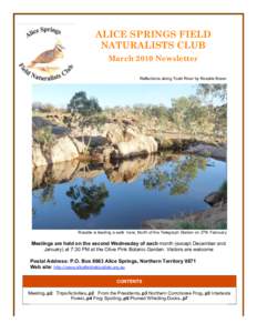 ALICE SPRINGS FIELD NATURALISTS CLUB March 2010 Newsletter Reflections along Todd River by Rosalie Breen  Rosalie is leading a walk here, North of the Telegraph Station on 27th February