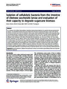Isolation of cellulolytic bacteria from the intestine of Diatraea saccharalis larvae and evaluation of their capacity to degrade sugarcane biomass