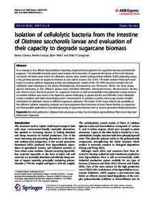 Enterobacteria / Xanthomonadales / Bacteriology / Klebsiella pneumoniae / Stenotrophomonas maltophilia / Cellulose / Microbacterium / Stenotrophomonas / Lactic acid bacteria / Bacteria / Microbiology / Gram-negative bacteria