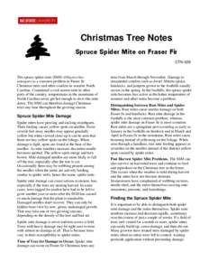 Christmas Tree Notes Spruce Spider Mite on Fraser Fir CTN-029 The spruce spider mite (SSM) (Oligonychus ununguis) is a common problem in Fraser fir