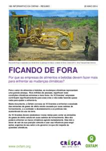 186 INFORMATIVO DA OXFAM – RESUMO  20 MAIO 2014 Área sendo limpa e replantada com dendezeiros na plantação de Butaw, condado de Sinoe, LibériaAnna Fawcus/Oxfam América