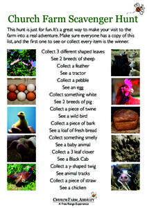 Church Farm Scavenger Hunt This hunt is just for fun. It’s a great way to make your visit to the farm into a real adventure. Make sure everyone has a copy of this list, and the first one to see or collect every item is