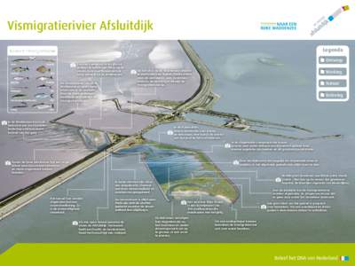 Vismigratierivier Afsluitdijk Vissoorten Vismigratierivier Legenda Ontwerp Werking