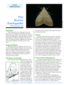 Forest ecology / Pine barrens / Zanclognatha martha / Pitch Pine / Plymouth Pinelands / Acronicta albarufa / New York / Geography of the United States / Ecoregions