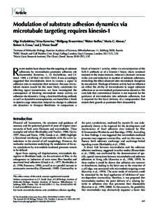 Proteins / Cytoskeleton / Microtubule / Focal adhesion / Kinesin / Vinculin / Tubulin / MDia1 / Nocodazole / Biology / Cell biology / Motor proteins