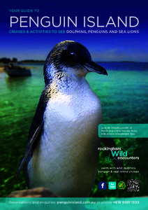 Penguin Island / States and territories of Australia / Geography of Australia / Little Penguin / Shoalwater Islands Marine Park / Dolphin / Penguin / Safety Bay /  Western Australia / Rockingham /  Western Australia / Birds of Australia / Flightless birds