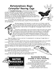 Metamorphosis Magic Caterpillar Rearing Cage Our Caterpillar Rearing Cage, crafted here at Native Nurseries, provides a safe place for your caterpillar to grow and change into a butterfly. To raise a caterpillar, collect