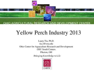 Yellow Perch Industry 2013 Laura Tiu, Ph.D. [removed] Ohio Center for Aquaculture Research and Development OSU South Centers Piketon, OH