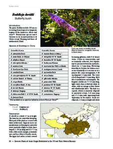 Botany / Flora / Flora of China / Buddleja / Sustainable gardening