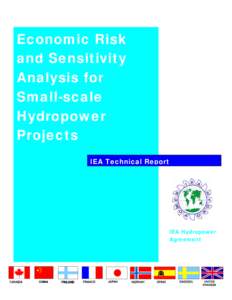 Economic Risk and Sensitivity Analysis for Small-scale Hydropower Projects