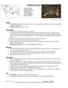 Radiated Tortoise  Native Range Map