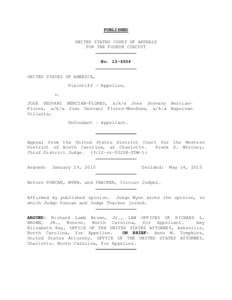 Government / United States Federal Sentencing Guidelines / United States federal law / United States v. Booker / Mandatory sentencing / Aggravated felony / Plea bargain / Mistretta v. United States / Sentence / Law / Criminal law / Criminal procedure