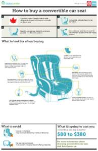 convertible_carseat_infographic