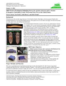 AGR PUB[removed]N[removed]Plant Protection Division, Pest Program Washington State Department of Agriculture January 11, 2006