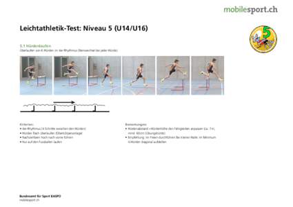 Leichtathletik-Test: Niveau 5 (U14/U16) 5.1 Hürdenlaufen Überlaufen von 6 Hürden im 4er-Rhythmus (Beinwechsel bei jeder Hürde). Kriterien: •	4er-Rhythmus (4 Schritte zwischen den Hürden)