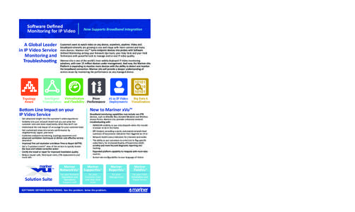 Monitoring for IP Video A Global Leader in IP Video Service Monitoring and  broadband networks are growing in size and shape with more content and many