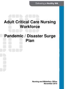 Pandemic / Disaster Surge Plan