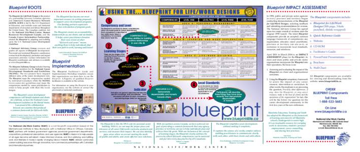 Blueprint ROOTS  Blueprint IMPACT ASSESSMENT USING THE[removed]BLUEPRINT FOR LIFE/WORK DESIGNS The Blueprint for Life/Work Designs is the product