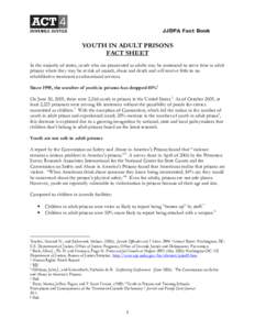 Microsoft Word - Youth in Adult Prisons.doc