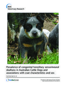 Prevalence of congenital hereditary sensorineural deafness in Australian Cattle Dogs and associations with coat characteristics and sex