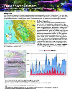 Pacific Salmon Commission / Oncorhynchus / Aquaculture of salmon / Bristol Bay / Pebble Mine / Salmon run / Fish / Salmon / Sockeye salmon