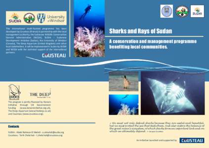 This international multi-faceted programme has been developed by Cousteau (France) in partnership with the local management authority, the Sudanese Wildlife Conservation General Administration (WCGA), SUDIA – Sudanese 