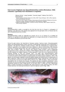 Carp / Provinces of Argentina / La Plata basin / Paraná River / Bighead carp / Hypophthalmichthys / Chaco Province / Río de la Plata / Asian carp / Fish / Geography of South America / Geography