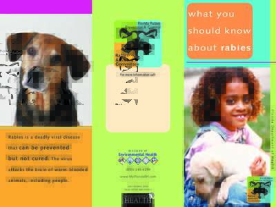 what you Florida Rabies Prevention & Control should k now about rabies