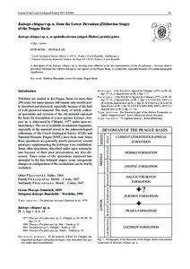 Journal of the Czech Geological Society 49/3[removed]