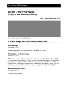 U.S. Fish and Wildlife Service  Zander (Sander lucioperca) Ecological Risk Screening Summary Web Version, September 2014