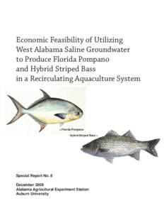 Economic Feasibility of Utilizing West Alabama Saline Groundwater to Produce Florida Pompano and Hybrid Striped Bass in a Recirculating Aquaculture System