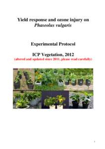 Microsoft Word - ICP Vegetation Phaseolus vulgaris protocol 2012_Final.doc