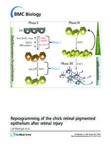 Stem cells / Biotechnology / SOX2 / Oncology / Retinal pigment epithelium / Induced pluripotent stem cell / Oct-4 / Cellular differentiation / Homeobox protein NANOG / Biology / Transcription factors / Developmental biology