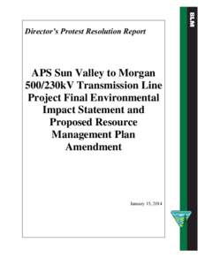 Director’s Protest Resolution Report  APS Sun Valley to Morgan 500/230kV Transmission Line Project Final Environmental Impact Statement and