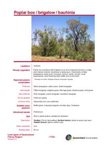 Grazing / Herbivory / Land use / Predation / Acacia harpophylla / Flora of Australia / Paspalidium caespitosum / Eragrostis / Natural history of Australia / Flora of New South Wales / Trees of Australia / Agriculture