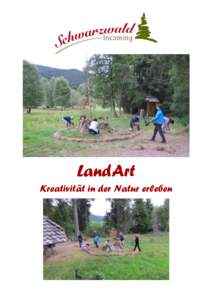 LandArt Kreativität in der Natur erleben Mitten in der Natur kreieren wir ein Kunstwerk (LandArt). Dabei verwenden