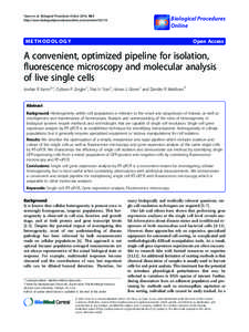 A reinvestigation of somatic hypermethylation at the PTEN CpG island in cancer cell lines