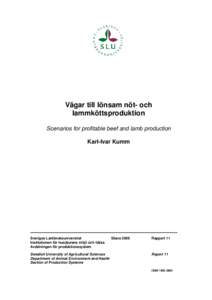 Vägar till lönsam nöt- och lammköttsproduktion Scenarios for profitable beef and lamb production