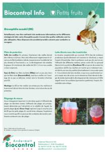 Biocontrol Info	  Petits fruits 1  Drosophila suzukii (DS)