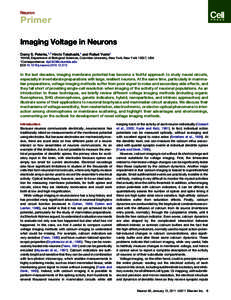 Neuron  Primer Imaging Voltage in Neurons Darcy S. Peterka,1,* Hiroto Takahashi,1 and Rafael Yuste1 1HHMI, Department of Biological Sciences, Columbia University, New York, New York 10027, USA