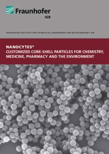 F r a u n h o fe r I n s t i t u t e f o r I n t e r f a c i a l E n gi n ee r i n g a n d B i o t e c h n o l o g y I G B  NANOCYTES ® CUSTOMIZED CORE-SHELL PARTICLES FOR CHEMISTRY, MEDICINE, PHARMACY AND THE ENVIRONME