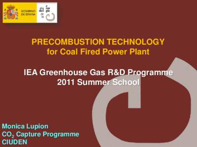 PRECOMBUSTION TECHNOLOGY for Coal Fired Power Plant IEA Greenhouse Gas R&D Programme 2011 Summer School  Monica Lupion