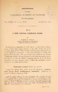 Sololá Department / Labial scale / Snake scales / Zunil / Sublabial scale