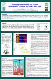 Assessing mitochondrial and cellular bioenergetics in human pluripotent stem cells Alessandro Prigione and James Adjaye Department of Vertebrate Genomics, Molecular Embryology and Aging group, Max Planck Institute for Mo