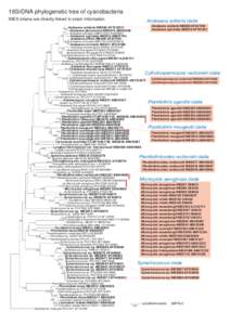 16SrDNA phylogenetic tree of cyanobacteria NIES strains are directly linked to strain information Anabaena solitaria NIES80 AF247594 Anabaena spiroides NIES78 AY701551