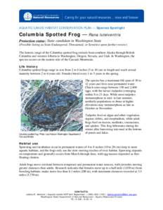 AQUATIC LANDS HABITAT CONSERVATION PLAN — Species Spotlight  Columbia Spotted Frog — Rana luteiventris