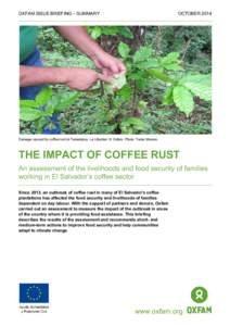 The Impact of Coffee Rust: Assessment of livelihoods and food security of families working in El Salvador’s coffee sector