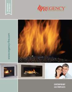 woo  CONTEMPORARY GAS FIREPLACES  www.regency-fire.com