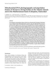 Molecular Ecology[removed], 153–167  Mitochondrial DNA phylogeography and population