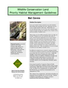 Wildlife Conservation Land Priority Habitat Management Guidelines Bat Caves Habitat Description Caves are mainly found scattered across the Southern Blue Ridge physiographic province, although some do